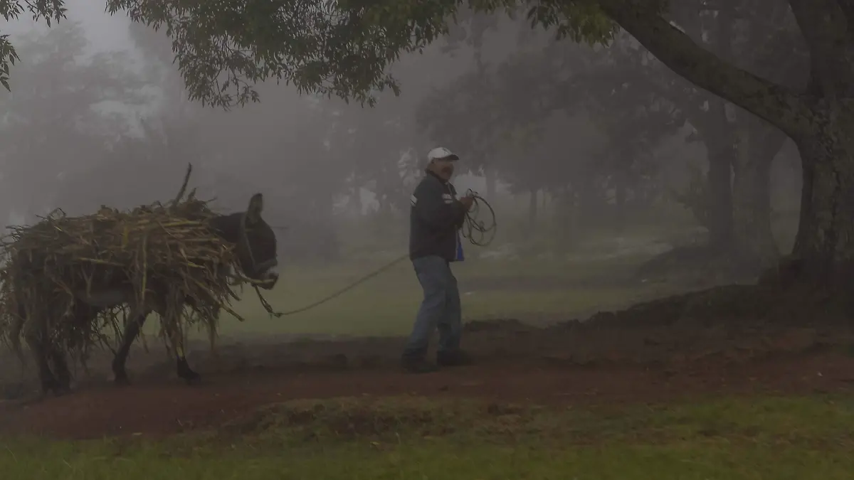 El termómetro bajó menos tres grados en Amealco debido al frente frio  número 10.